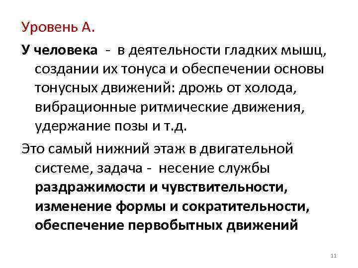 Уровень А. У человека в деятельности гладких мышц, создании их тонуса и обеспечении основы