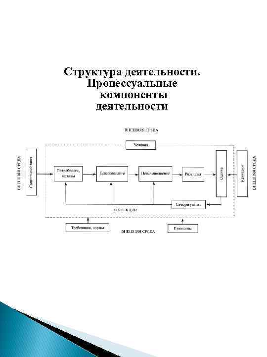 Структура деятельности. Процессуальные компоненты деятельности 