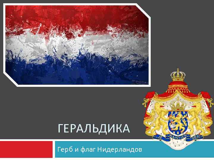 ГЕРАЛЬДИКА Герб и флаг Нидерландов 