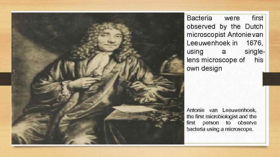 Bacteria were first observed by the Dutch microscopist Antonie van Leeuwenhoek in 1676, using