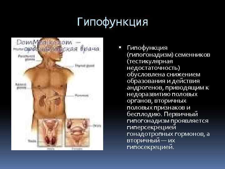 Гипофункция (гипогонадизм) семенников (тестикулярная недостаточность) обусловлена снижением образования и действия андрогенов, приводящим к недоразвитию