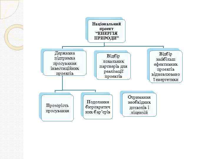 Національний проект “ЕНЕРГІЯ ПРИРОДИ” Державна підтримка просування інвестиційних проектів Прозорість просування Відбір локальних партнерів