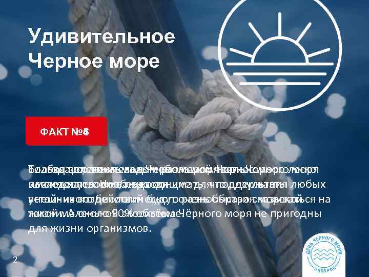 Удивительное Черное море ФАКТ № 6 № 5 № 4 Слабая соленость вод Черного