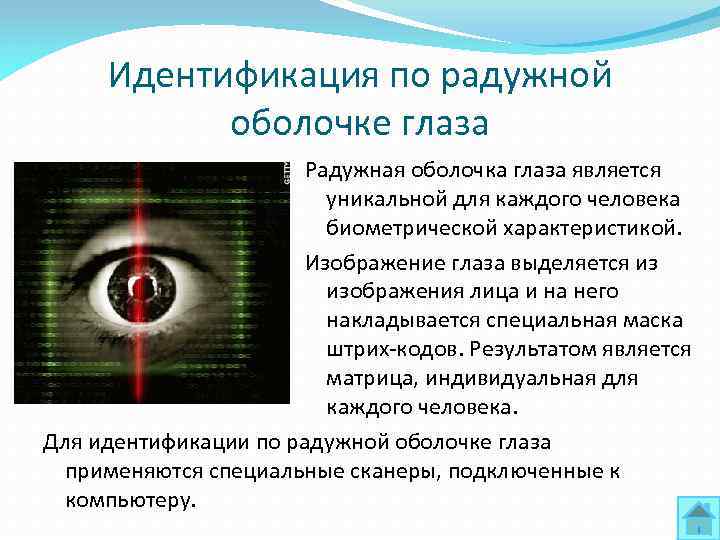 Идентификация по радужной оболочке глаза Радужная оболочка глаза является уникальной для каждого человека биометрической