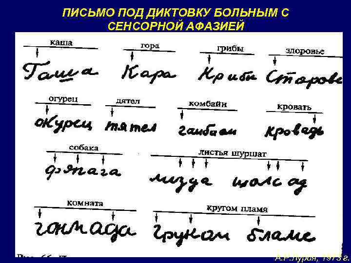 ПИСЬМО ПОД ДИКТОВКУ БОЛЬНЫМ С СЕНСОРНОЙ АФАЗИЕЙ А. Р. Лурия, 1973 г. 