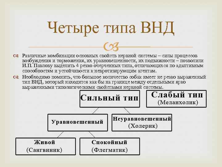 Четыре типа ВНД Различные комбинации основных свойств нервной системы – силы процессов возбуждения и
