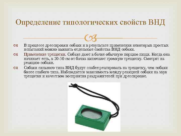 Определение типологических свойств ВНД В процессе дрессировки собаки и в результате применения некоторых простых