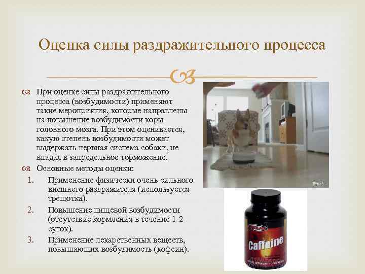 Оценка силы раздражительного процесса При оценке силы раздражительного процесса (возбудимости) применяют такие мероприятия, которые