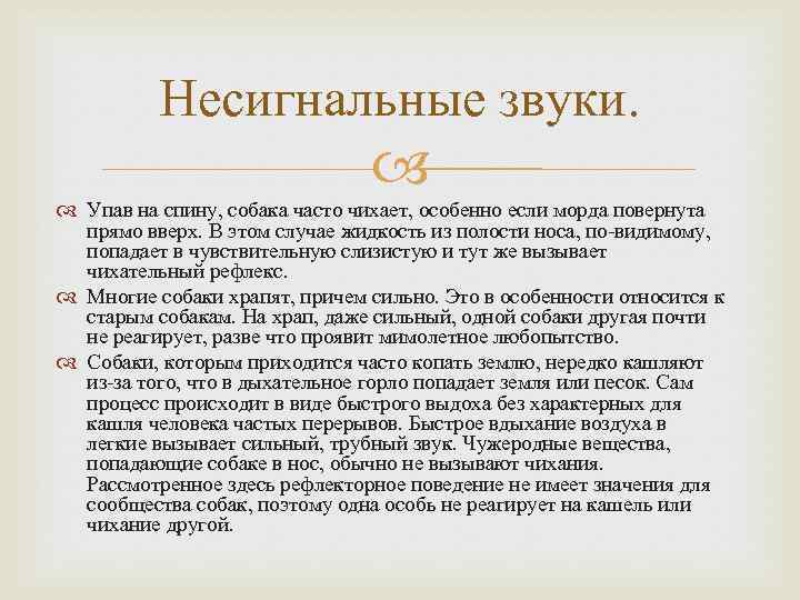 Несигнальные звуки. Упав на спину, собака часто чихает, особенно если морда повернута прямо вверх.