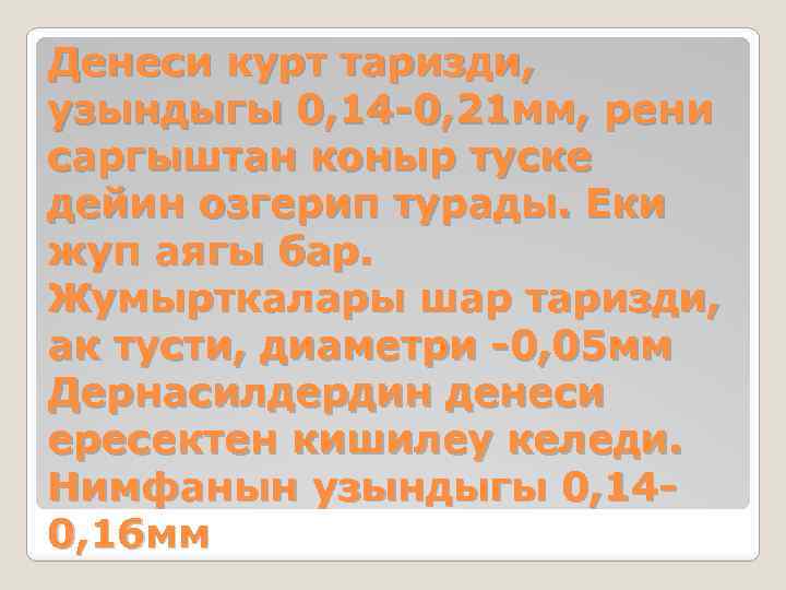 Денеси курт таризди, узындыгы 0, 14 -0, 21 мм, рени саргыштан коныр туске дейин