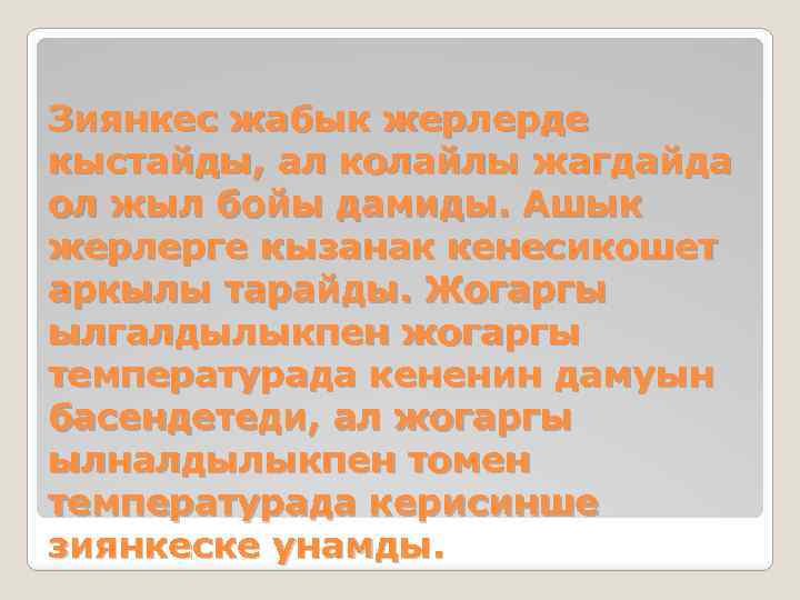 Зиянкес жабык жерлерде кыстайды, ал колайлы жагдайда ол жыл бойы дамиды. Ашык жерлерге кызанак