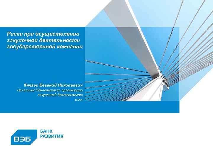 Риски при осуществлении закупочной деятельности государственной компании Князев Евгений Николаевич Начальник Управления по организации