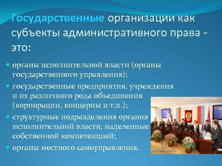 Государственные организации как субъекты административного права это: органы исполнительной власти (органы государственного управления); государственные