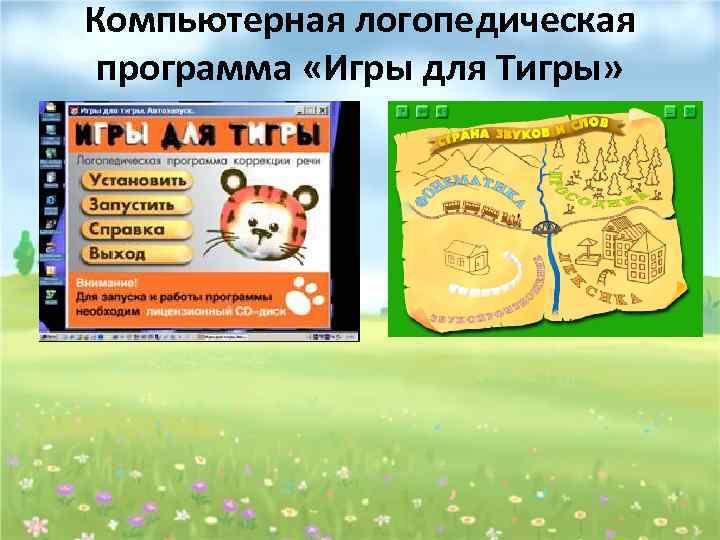 Компьютерная логопедическая программа «Игры для Тигры» 