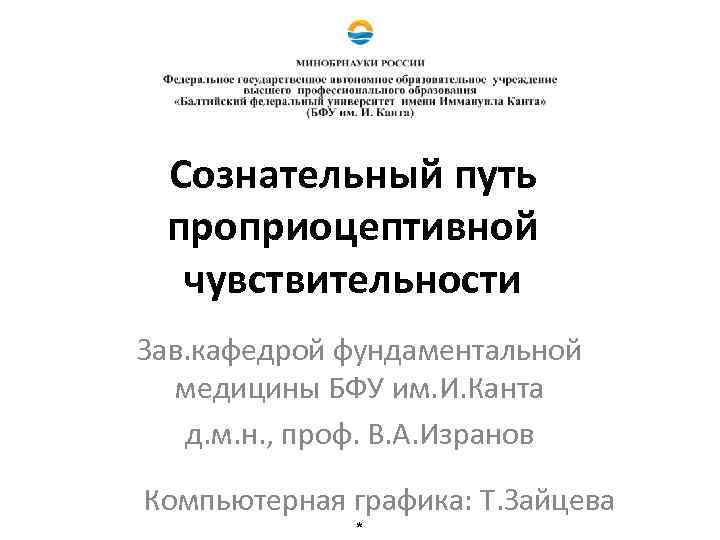 Сознательный путь проприоцептивной чувствительности Зав. кафедрой фундаментальной медицины БФУ им. И. Канта д. м.