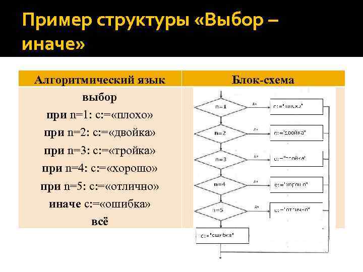 Выбор структур. Алгоритмы в информатике примеры. Примеры алгоритмов по информатике. Структура алгоритмического языка. Структура выбора блок схема.