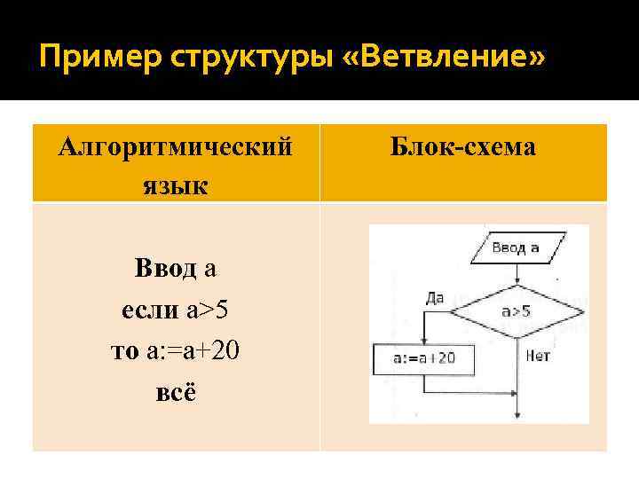 Примеры блоков. Алгоритм алгоритмичексий язык ветвления пример. Алгоритм в информатике ввод. Ветвление в информатике примеры. Виды ветвления в информатике.