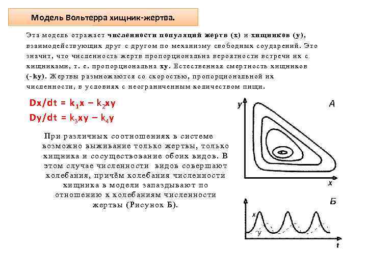 Модель Вольтерра хищник-жертва. Эта модель отражает численности популяций жертв (х) и хищников (у), взаимодействующих