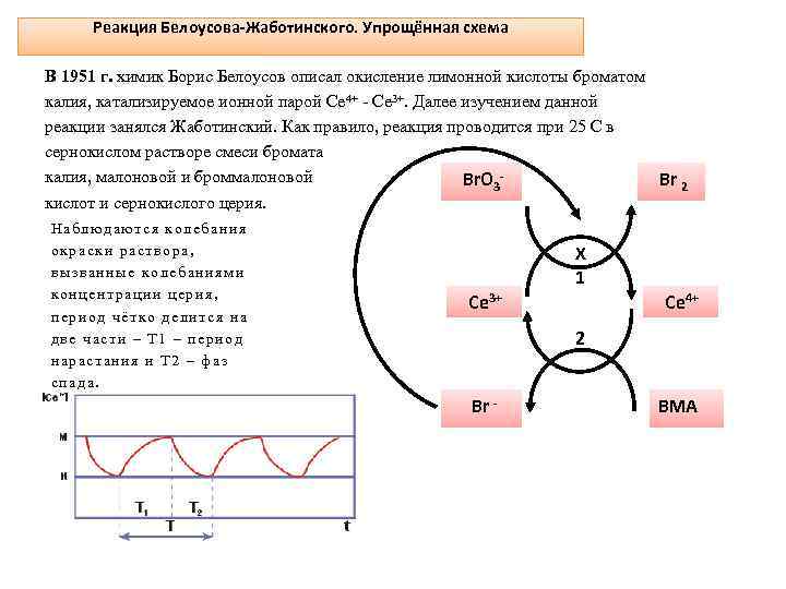 Реакция Белоусова-Жаботинского. Упрощённая схема В 1951 г. химик Борис Белоусов описал окисление лимонной кислоты
