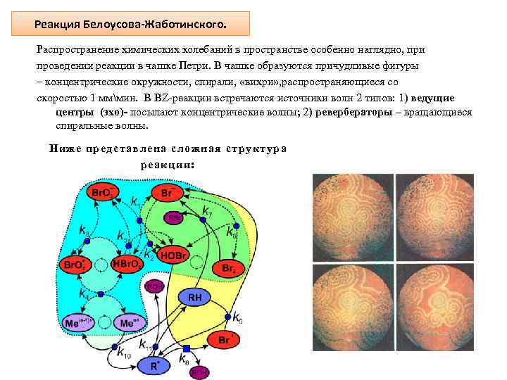 Проведение реакции. Реакция Белоусова-Жаботинского. Реакция Белоусова. Химические колебания (реакции Белоусова-Жаботинского). Химическая флуктуация.