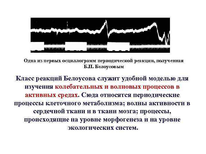 Одна из первых осциллограмм периодической реакции, полученная Б. П. Белоусовым Класс реакций Белоусова служит