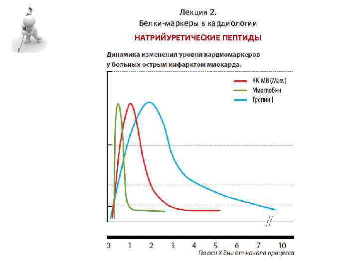 N терминальный фрагмент натрийуретического пропептида. Исследование уровня мозгового натрийуретического пептида. Натрийуретический пептид нормы по возрастам. N-концевой натрийуретический пептид. Предсердный натрийуретический пептид.