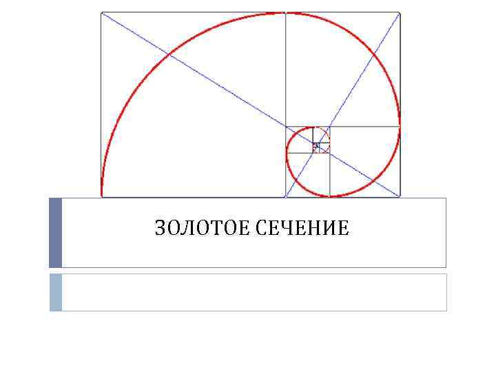 ЗОЛОТОЕ СЕЧЕНИЕ 