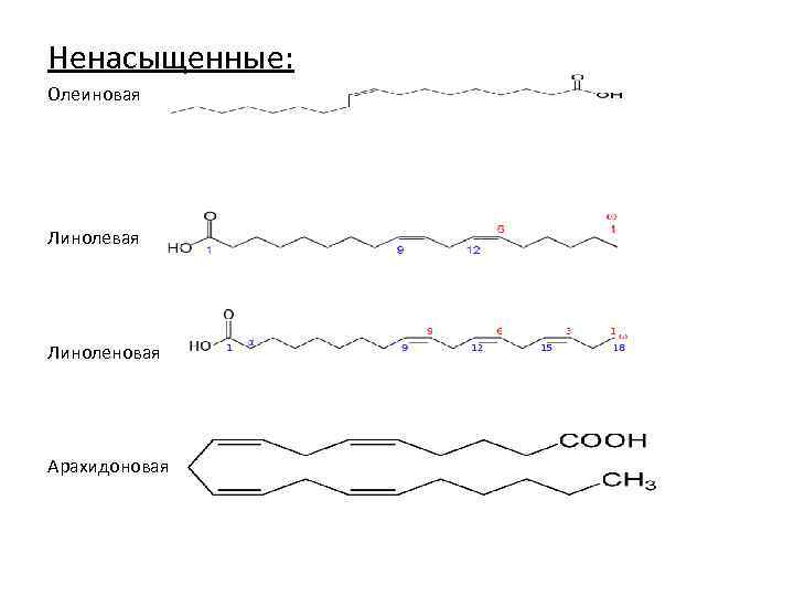Ненасыщенные: Олеиновая Линоленовая Арахидоновая 