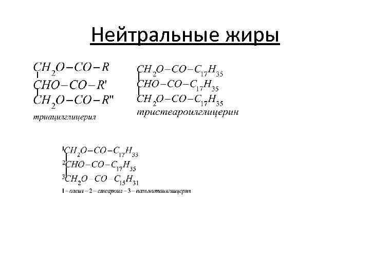 Нейтральные жиры 