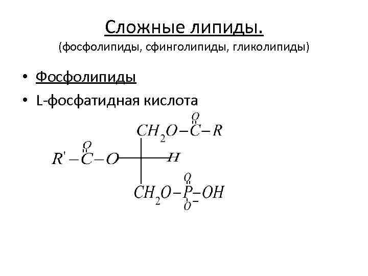 Структура глицерофосфатов и сфинголипидов