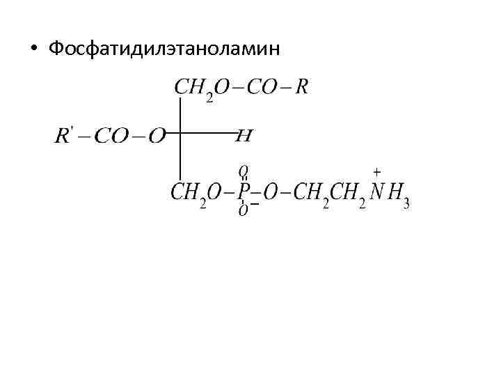  • Фосфатидилэтаноламин 