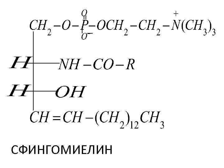 СФИНГОМИЕЛИН 