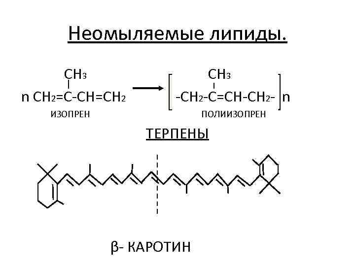 Неомыляемые липиды. CH 3 n CH 2=C-CH=CH 2 CH 3 -CH 2 -C=CH-CH 2