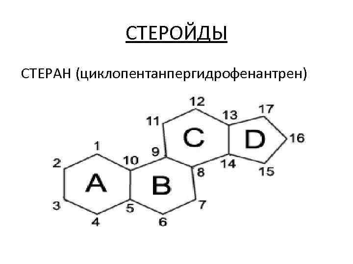 СТЕРОЙДЫ СТЕРАН (циклопентанпергидрофенантрен) 