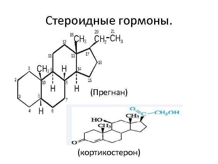 Мост между курсами