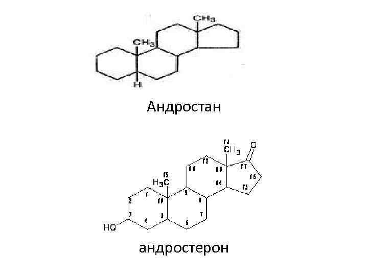 Андростан андростерон 