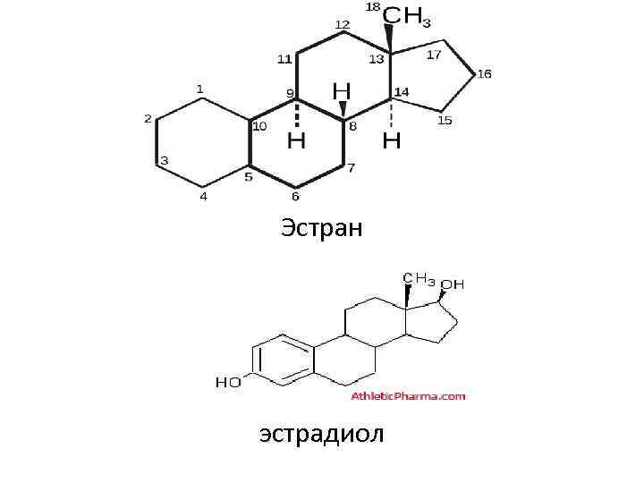 Эстран эстрадиол 