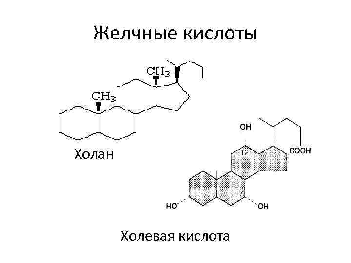 Желчные кислоты Холан Холевая кислота 