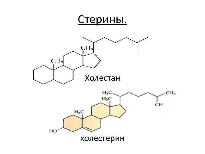 Холестан