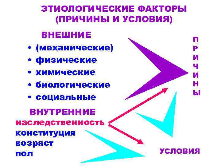 ЭТИОЛОГИЧЕСКИЕ ФАКТОРЫ (ПРИЧИНЫ И УСЛОВИЯ) • • • ВНЕШНИЕ (механические) физические химические биологические социальные