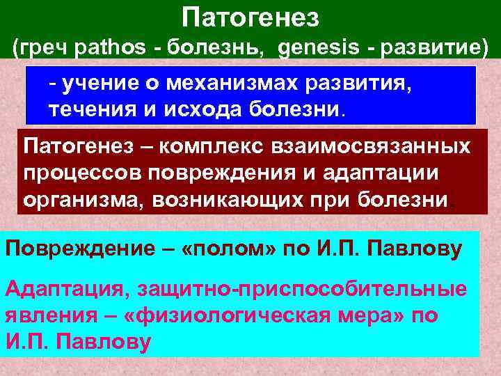 Патогенез (греч pathos - болезнь, genesis - развитие) - учение о механизмах развития, течения