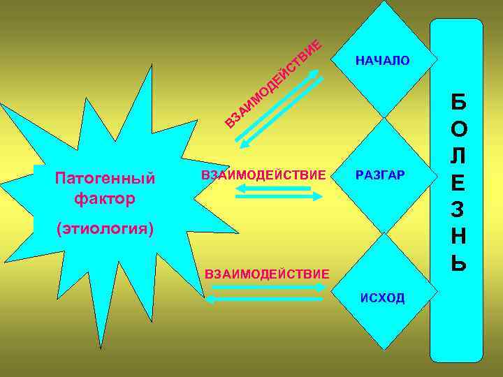 ИЕ ТВ ДЕ ЙС НАЧАЛО О М АИ ВЗ Патогенный фактор ВЗАИМОДЕЙСТВИЕ РАЗГАР (этиология)