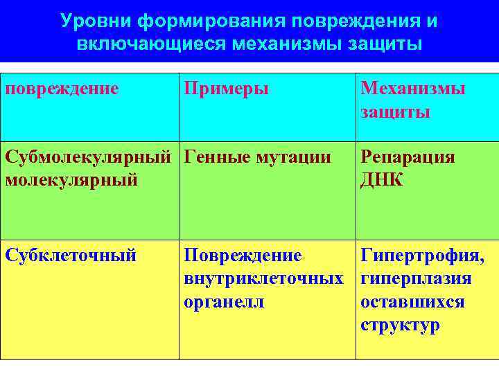 Уровни формирования повреждения и включающиеся механизмы защиты повреждение Примеры Субмолекулярный Генные мутации молекулярный Субклеточный