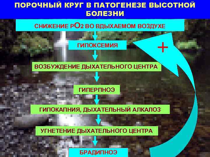 ПОРОЧНЫЙ КРУГ В ПАТОГЕНЕЗЕ ВЫСОТНОЙ БОЛЕЗНИ СНИЖЕНИЕ РО 2 ВО ВДЫХАЕМОМ ВОЗДУХЕ ГИПОКСЕМИЯ ВОЗБУЖДЕНИЕ