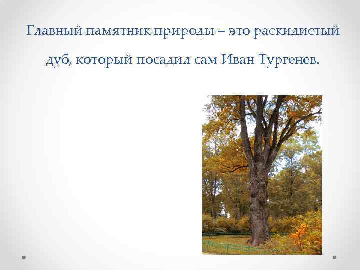 Главный памятник природы – это раскидистый дуб, который посадил сам Иван Тургенев. 