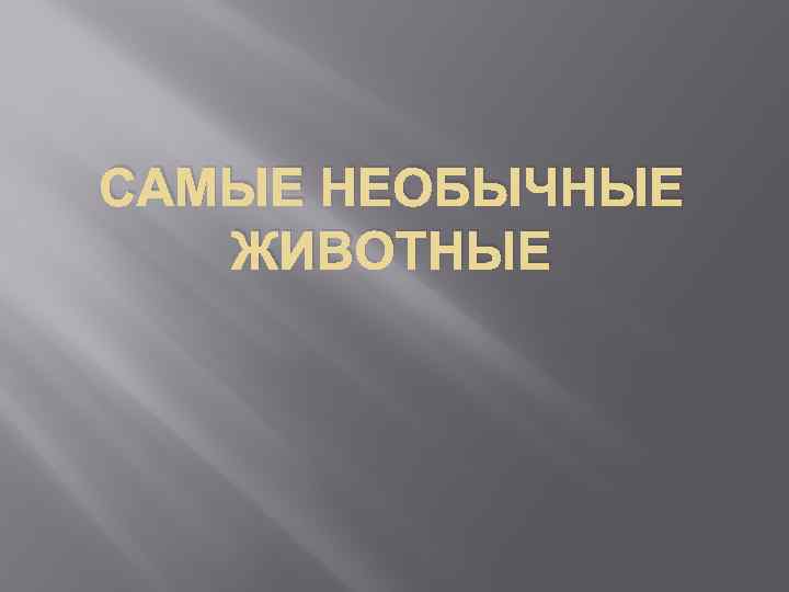 САМЫЕ НЕОБЫЧНЫЕ ЖИВОТНЫЕ 