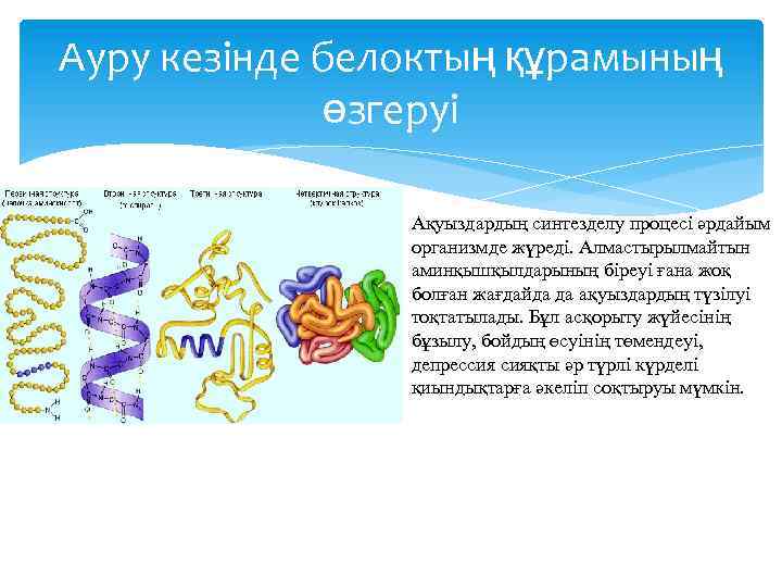 Жануарлардағы онтогенездің тура және жанама типтері презентация