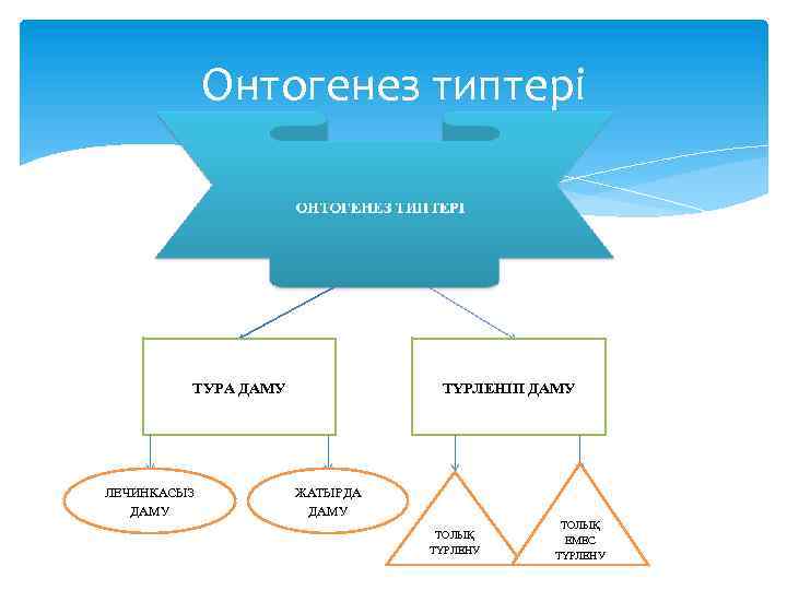 Тура даму және түрленіп даму презентация