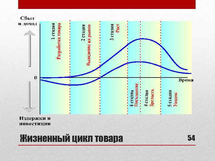 Жизненный цикл товара 54 