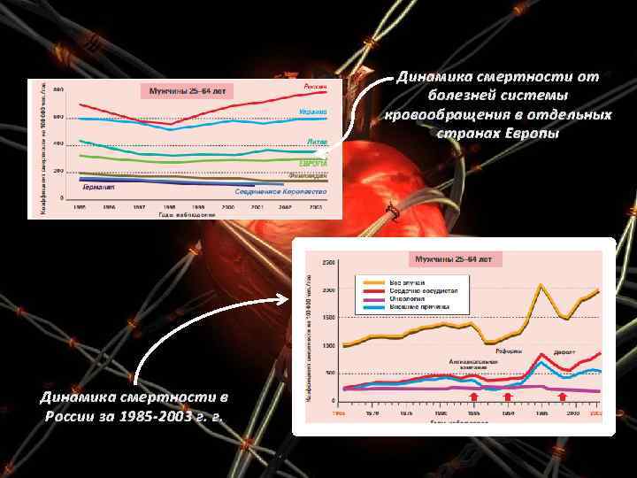 Динамика смертности от болезней системы кровообращения в отдельных странах Европы Динамика смертности в России